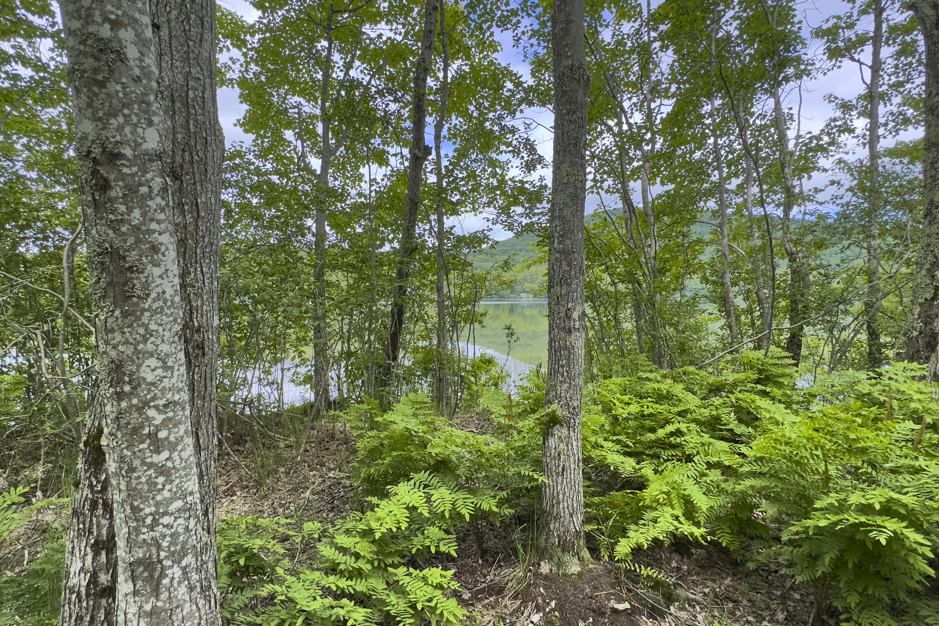 Lot 47 Loon Lane Hope, ME 04847 - Photo 7 of 22 04- 891 Barnestown Road - Hope - JAC