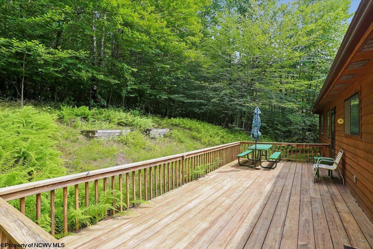 352 Ridge Road Davis, WV 26260 - Photo 46 of 47 Gallery Image 46