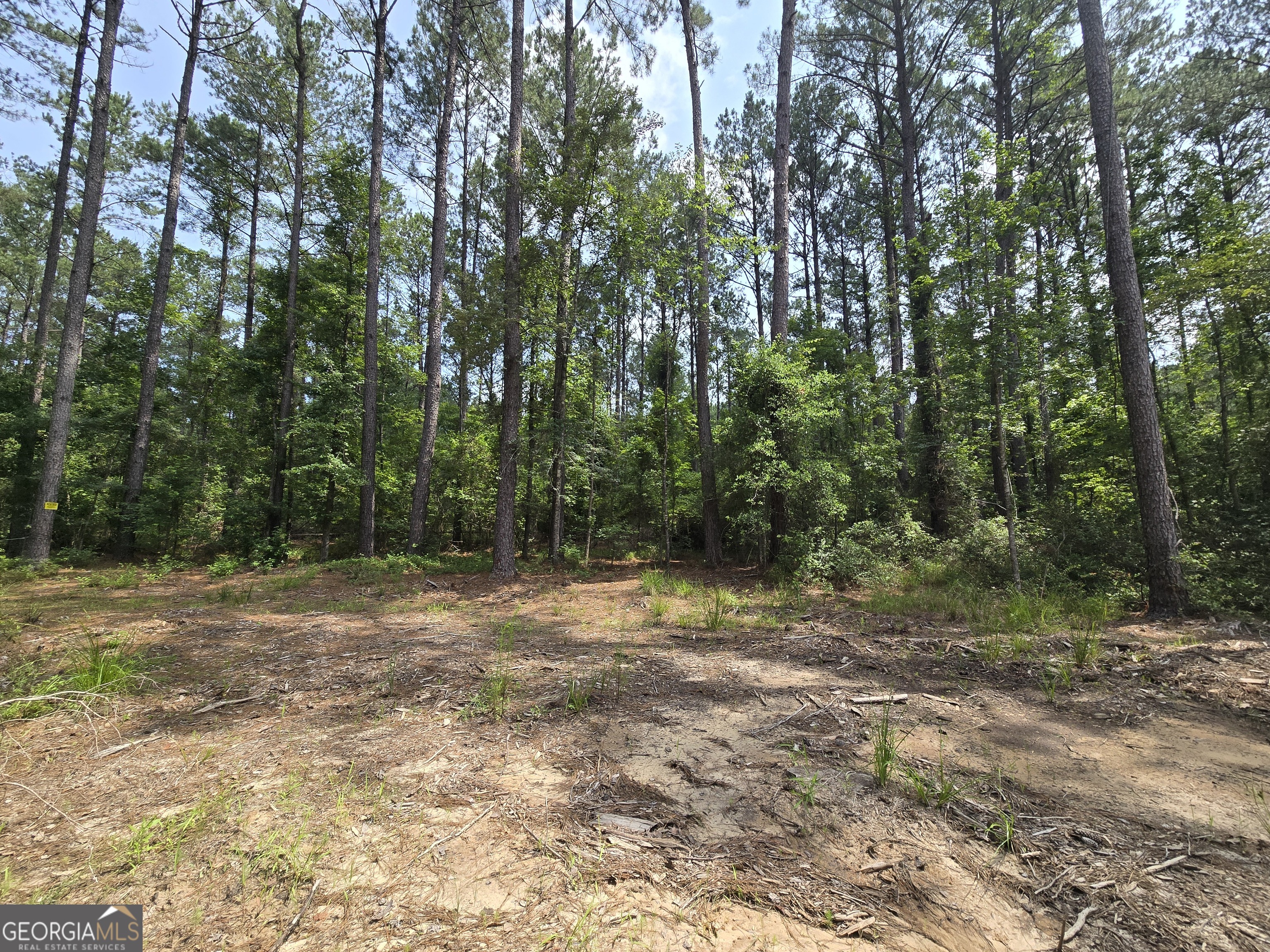 0 Colby Drive Dublin, GA 31021 - Photo 4 of 5