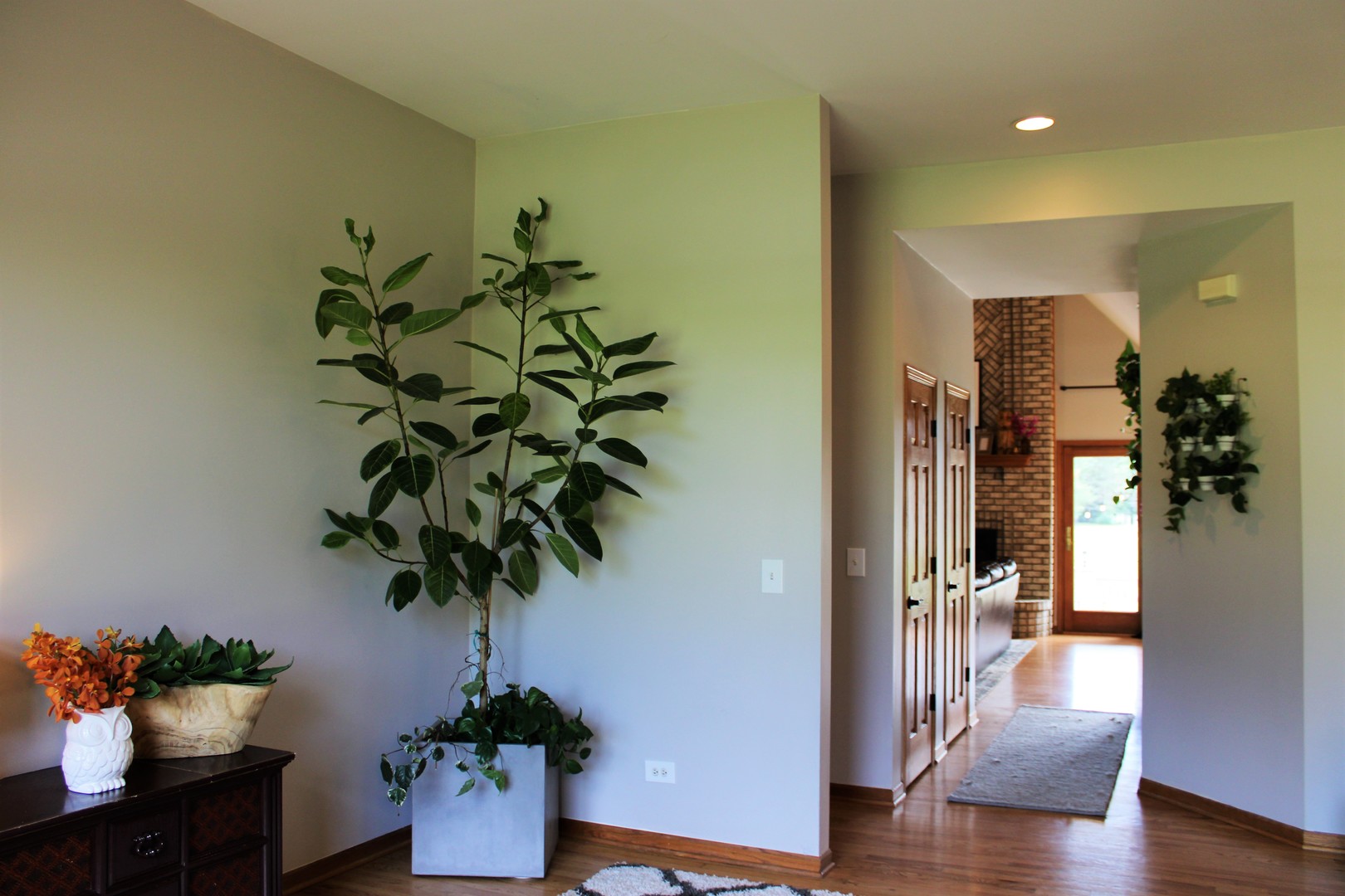 24101 South Schoolhouse Road Manhattan, IL 60442 - Photo 8 of 25