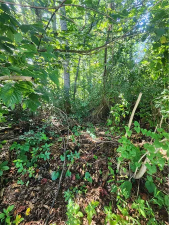 $45,000 | 103-493 Quail Haven Drive, Easley, SC 29642