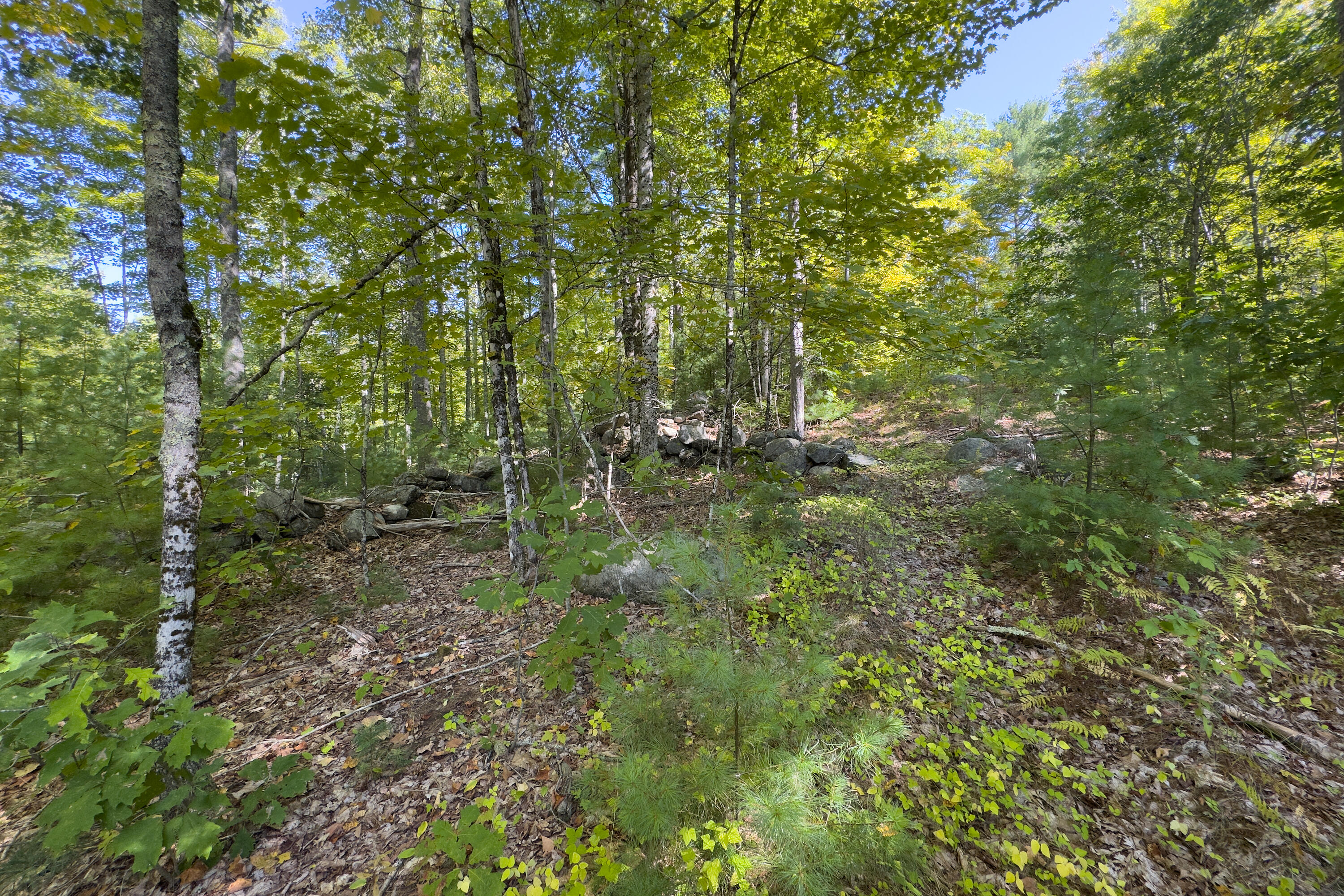 815 Augusta Road Jefferson, ME 04348 - Photo 38 of 41 48- 815 Agusta Road - Jefferson.JAC