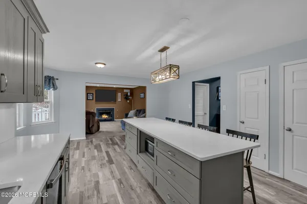 a view of a garden with a tree in the background