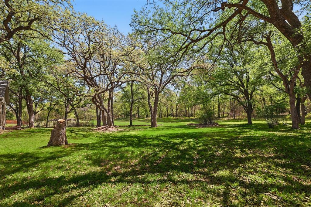 1904 Oak Ridge Trail Bridgeport, TX 76426 - Photo 31 of 34 View of grassy yard
