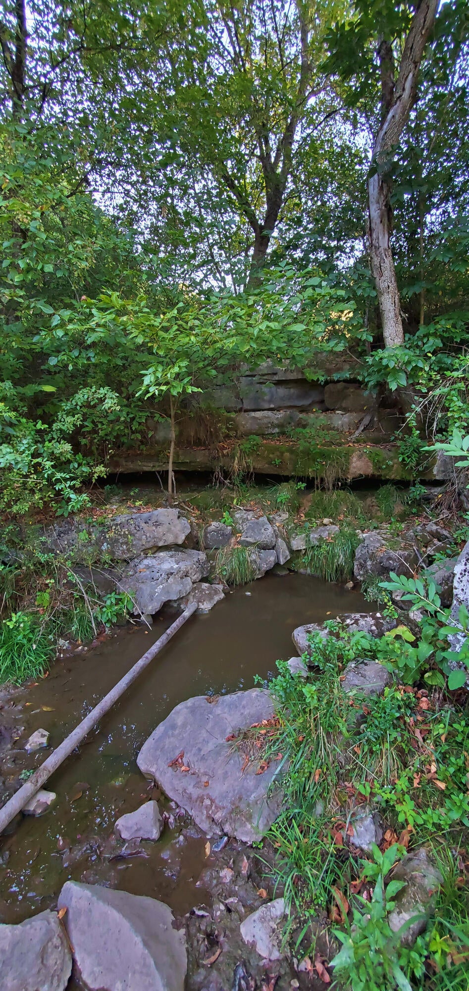 Davis Stuart Road Lewisburg, WV 24901 - Photo 42 of 72 Gallery Image 42