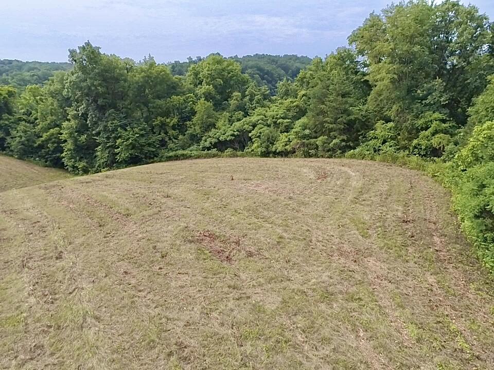8195 Winchester Road Irvine, KY 40336 - Photo 7 of 13 IMG_0785