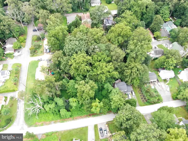 a view of a garden with plants
