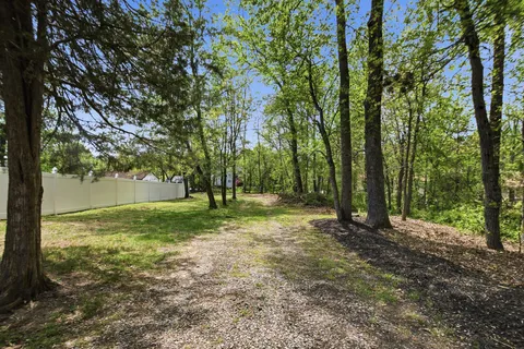 a view of outdoor space with trees