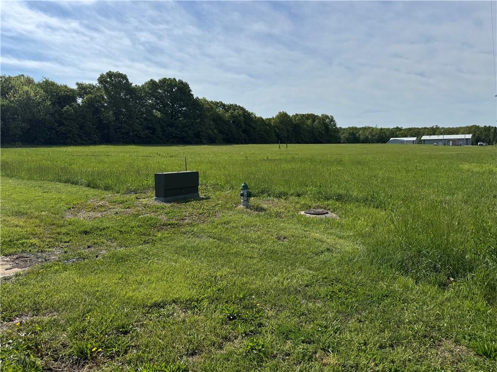 2570 South 171 Road El Dorado Springs, MO 64744 - Photo 1 of 1