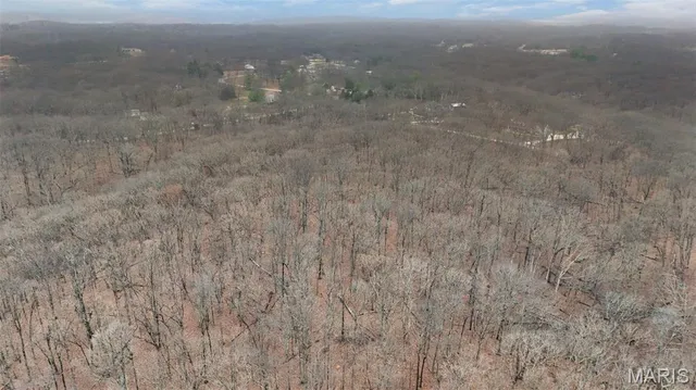 $600,000 | 55 Rustic Ldg Lane, Defiance, MO 63341