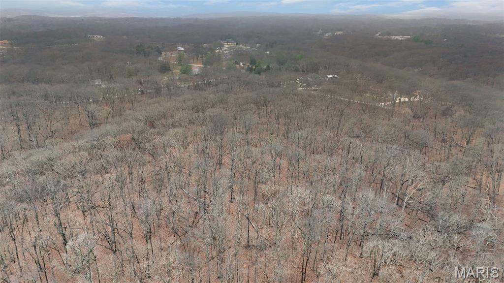 55 Rustic Ldg Lane Defiance, MO 63341 - Photo 13 of 15