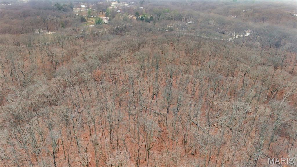 55 Rustic Ldg Lane Defiance, MO 63341 - Photo 14 of 15