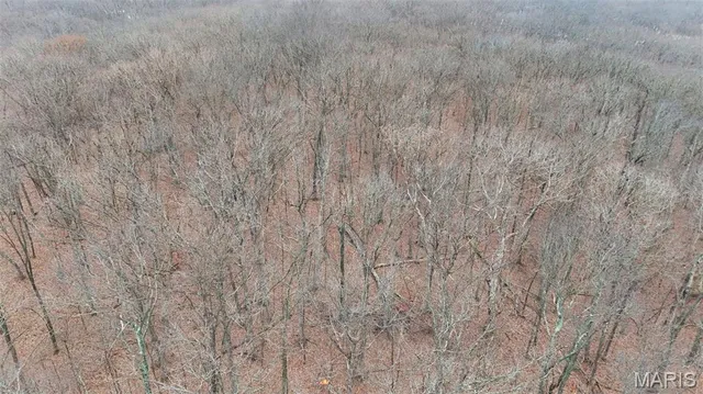 $600,000 | 55 Rustic Ldg Lane, Defiance, MO 63341