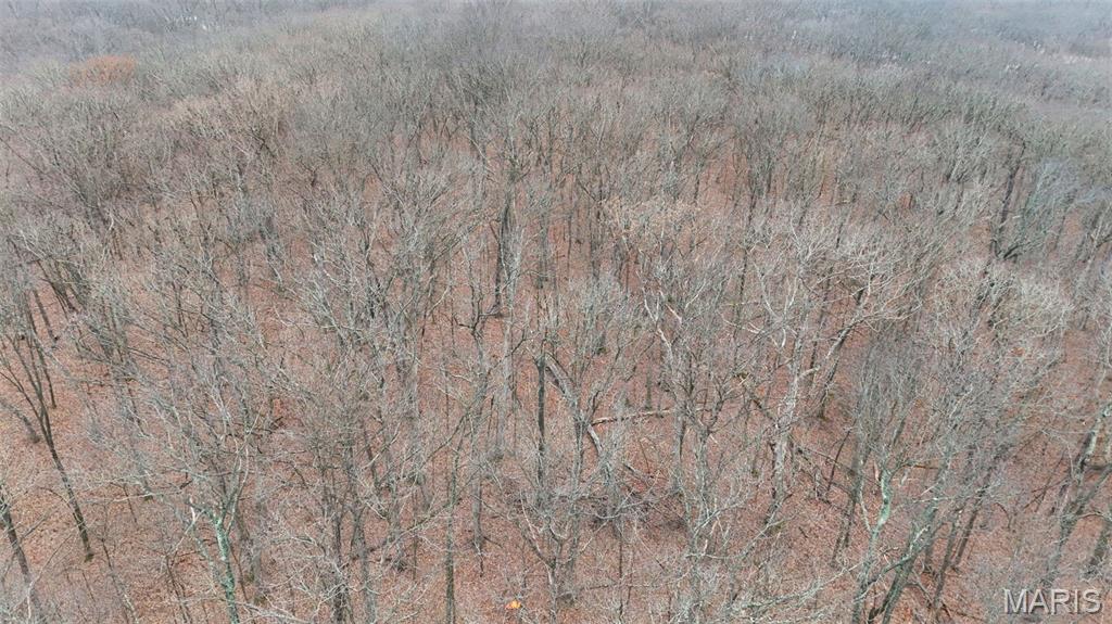 55 Rustic Ldg Lane Defiance, MO 63341 - Photo 15 of 15