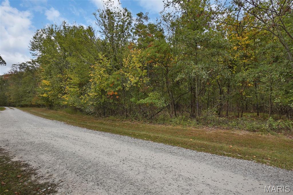 55 Rustic Ldg Lane Defiance, MO 63341 - Photo 2 of 8