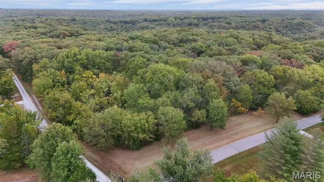 $600,000 | 55 Rustic Ldg Lane, Defiance, MO 63341