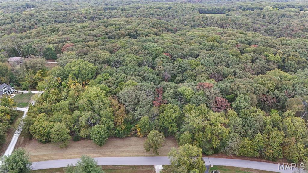 55 Rustic Ldg Lane Defiance, MO 63341 - Photo 4 of 8