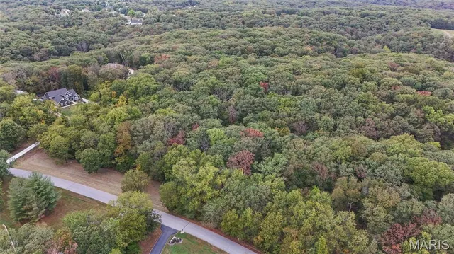 $600,000 | 55 Rustic Ldg Lane, Defiance, MO 63341