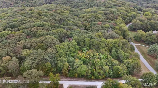 $600,000 | 55 Rustic Ldg Lane, Defiance, MO 63341