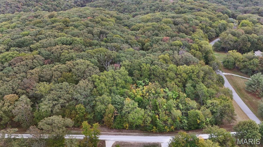 55 Rustic Ldg Lane Defiance, MO 63341 - Photo 6 of 8