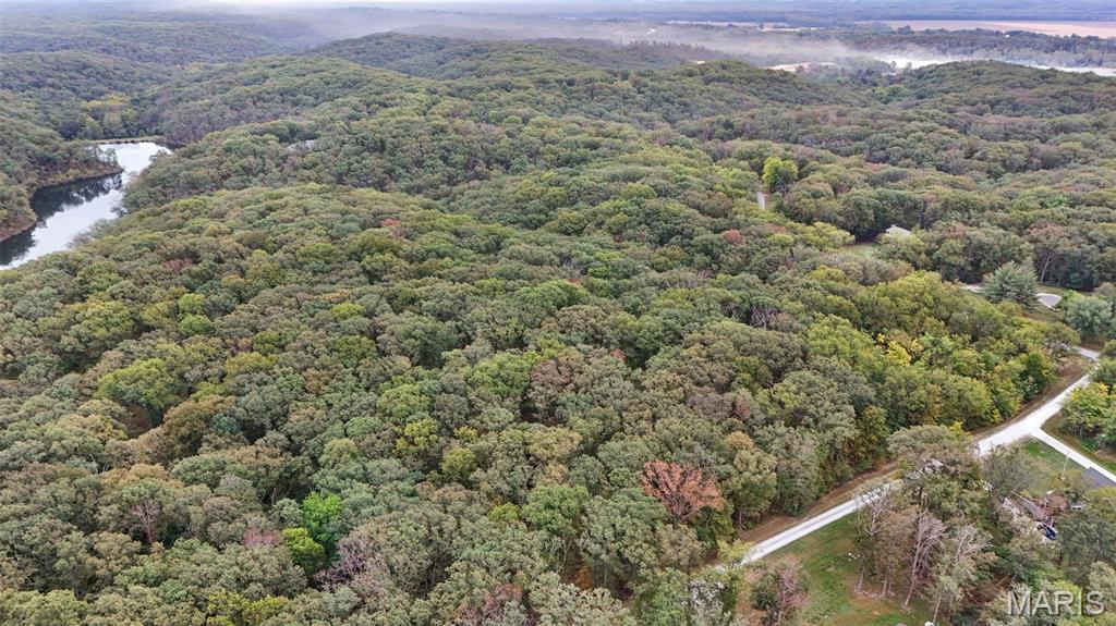 55 Rustic Ldg Lane Defiance, MO 63341 - Photo 7 of 8