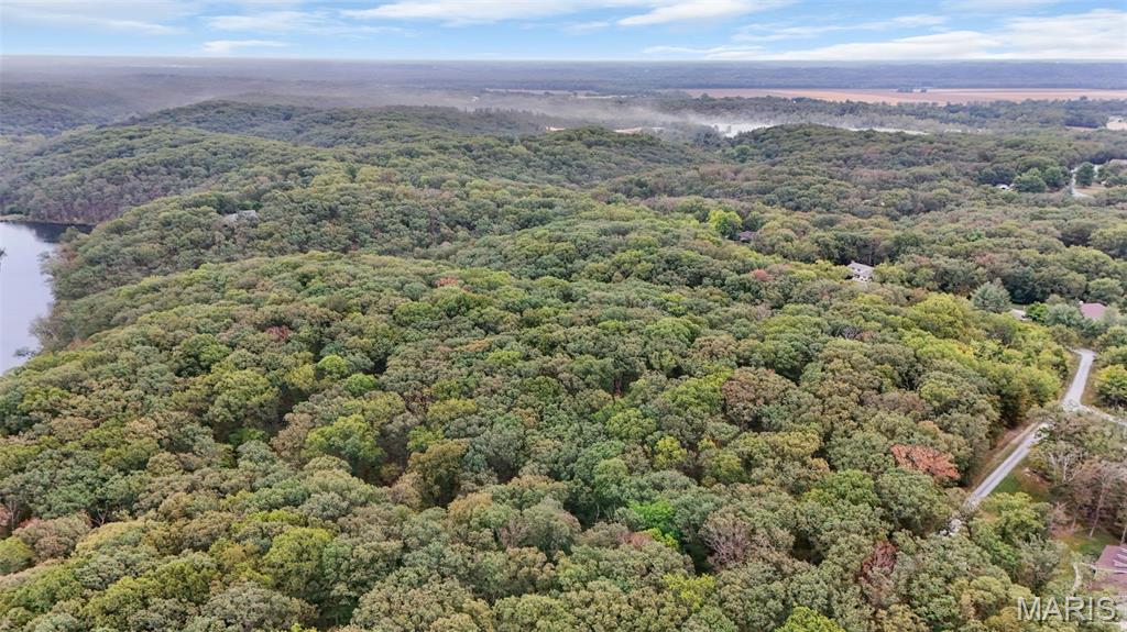 55 Rustic Ldg Lane Defiance, MO 63341 - Photo 8 of 8