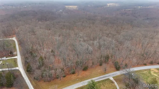 $600,000 | 55 Rustic Ldg Lane, Defiance, MO 63341