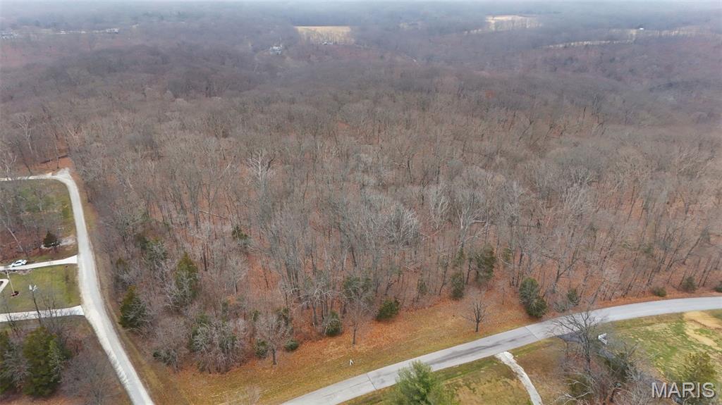 55 Rustic Ldg Lane Defiance, MO 63341 - Photo 9 of 15