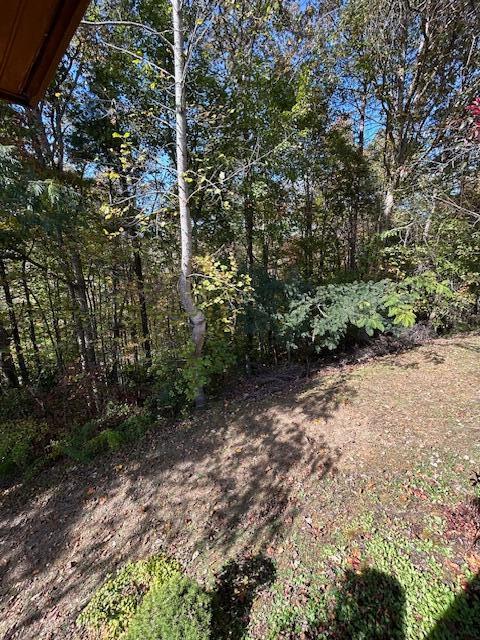 219 Womble Road Farner, TN 37333 - Photo 16 of 28 IMG_3114