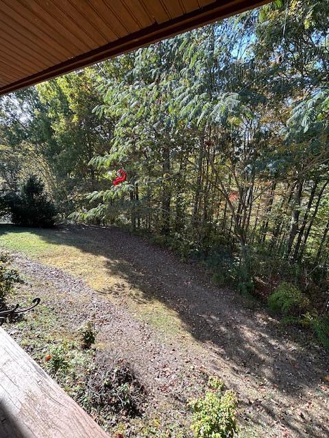 219 Womble Road Farner, TN 37333 - Photo 17 of 28 IMG_3115