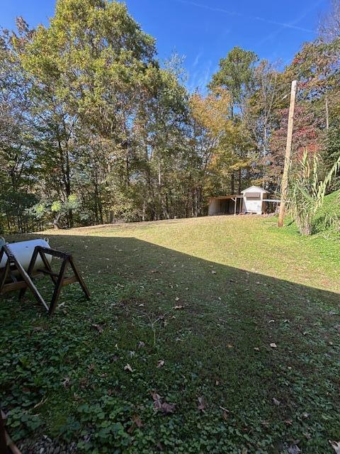 219 Womble Road Farner, TN 37333 - Photo 21 of 28 IMG_3124