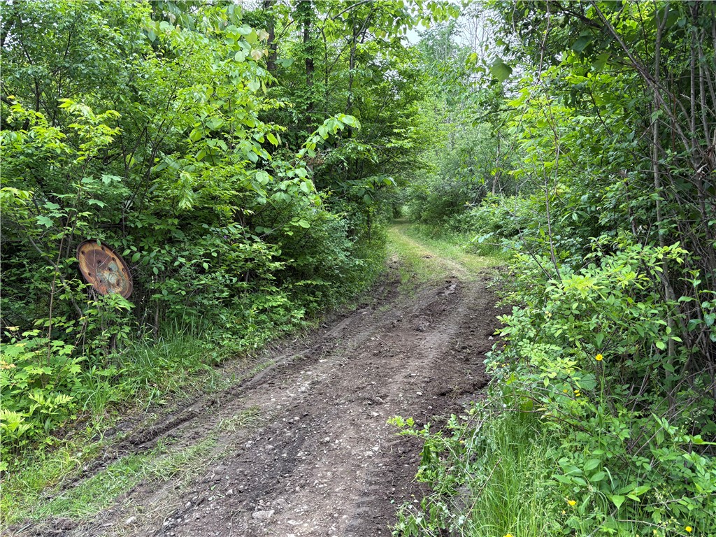 0 Townsend Road Watkins Glen, NY 14891 - Photo 1 of 6