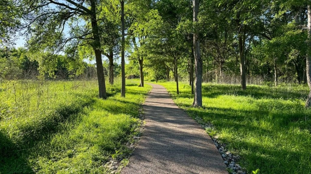4700 Mather Kyle, TX 78640 - Photo 25 of 27 a view of a park with large trees