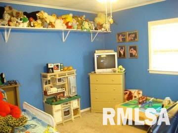 5469 Satch Road Benton, IL 62812 - Photo 7 of 8 Gallery Image 7