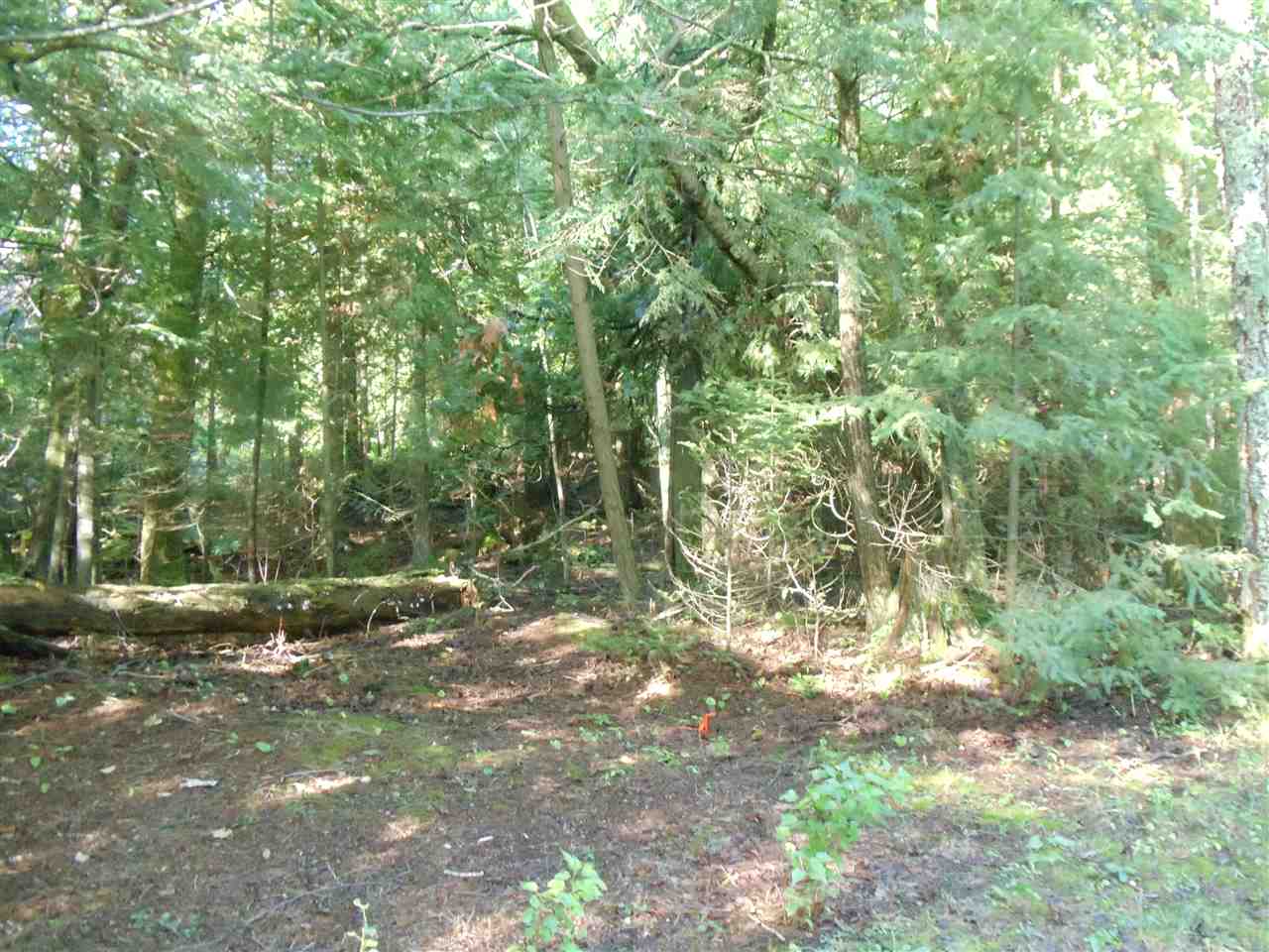 4964 Omena Point Road Omena, MI 49674 - Photo 16 of 32 1840029-15.JPG