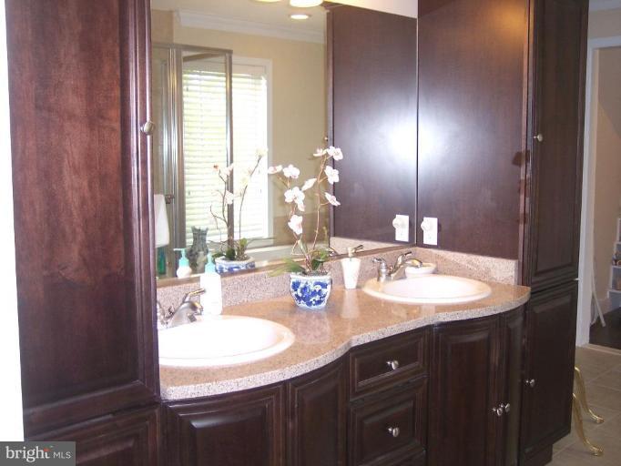 150 Cresston Road Arnold, MD 21012 - Photo 13 of 25 Gorgeous cabinetry, double sinks, shower, jetted