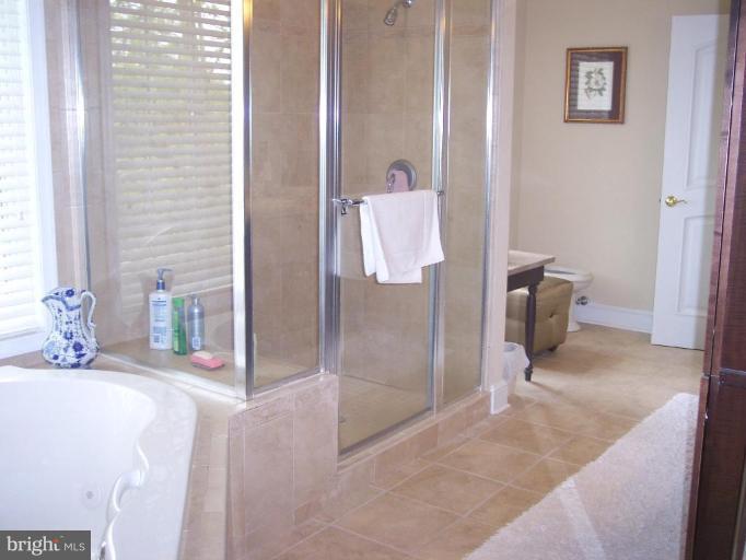 150 Cresston Road Arnold, MD 21012 - Photo 14 of 25 Jetted tub for 2, separate shower