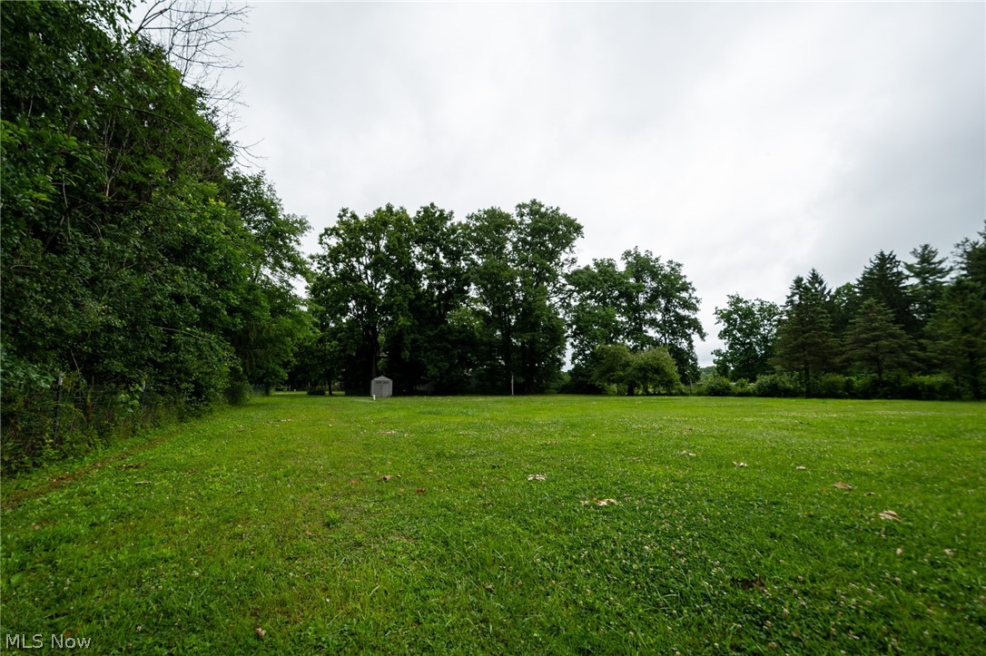 14027 Mayfield Road Huntsburg, OH 44046 - Photo 45 of 50 Expansive green lawn surrounded by mature trees and natural foliage
