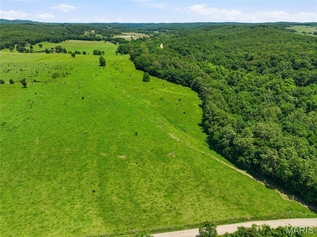 0 Pleasant Hill Road Mountain Grove, MO 65711 - Photo 5 of 51