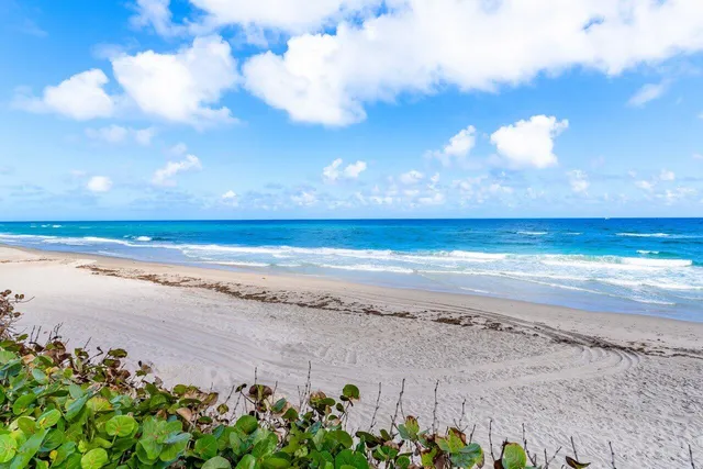 an aerial view of a house with a lake view