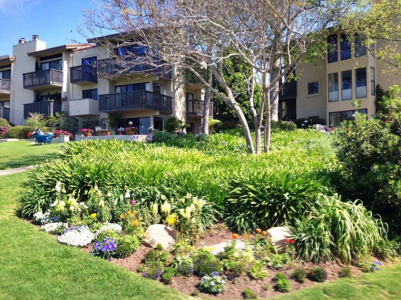 3375 Foothill Road, Unit 1011 Carpinteria, CA 93013 - Photo 1 of 6 a front view of a house with a yard and tree in center