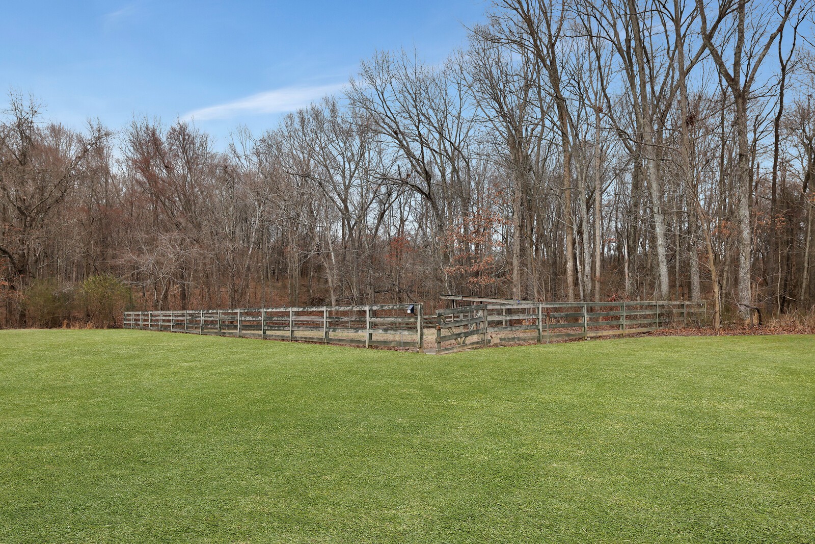 647 Mobley Road Clarksville, TN 37043 - Photo 51 of 69 a view of a field of grass and trees