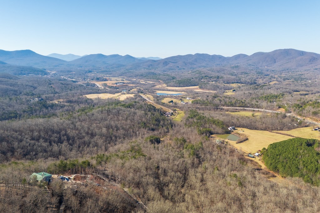 4203 Twiggs Road Young Harris, GA 30582 - Photo 67 of 76 Gallery Image 67