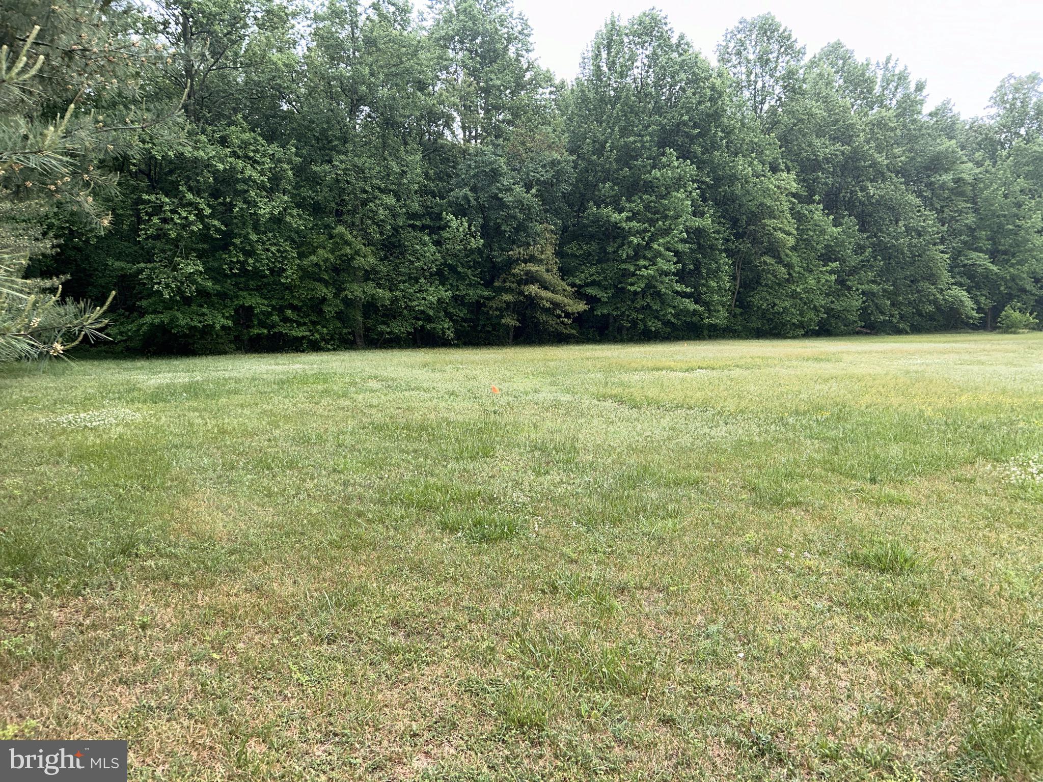 Lot 5 Reynolds Pond Road Ellendale, DE 19941 - Photo 1 of 1 Gallery Image 1