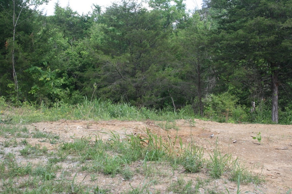 1566 Parrotts Chapel Road Sevierville, TN 37876 - Photo 11 of 32 Gallery Image 11