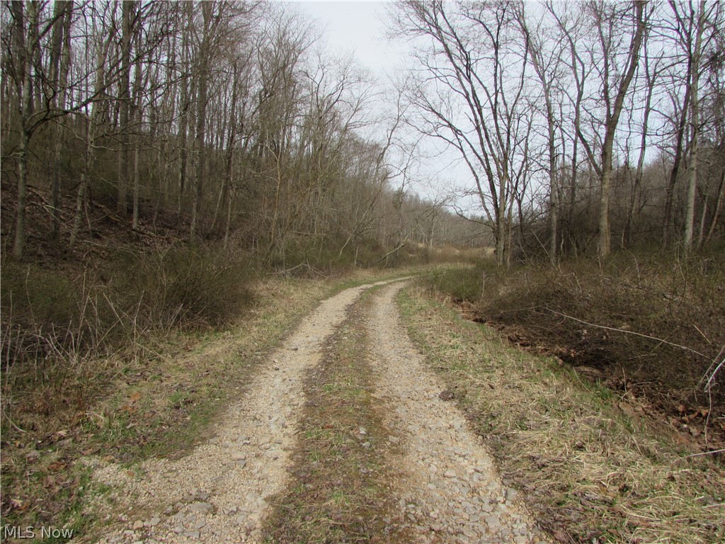 Round Stone Rd Street St. Marys, WV 26170 - Photo 4 of 14