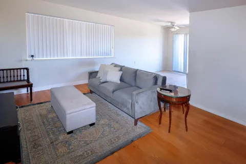 a living room with furniture and a potted plant