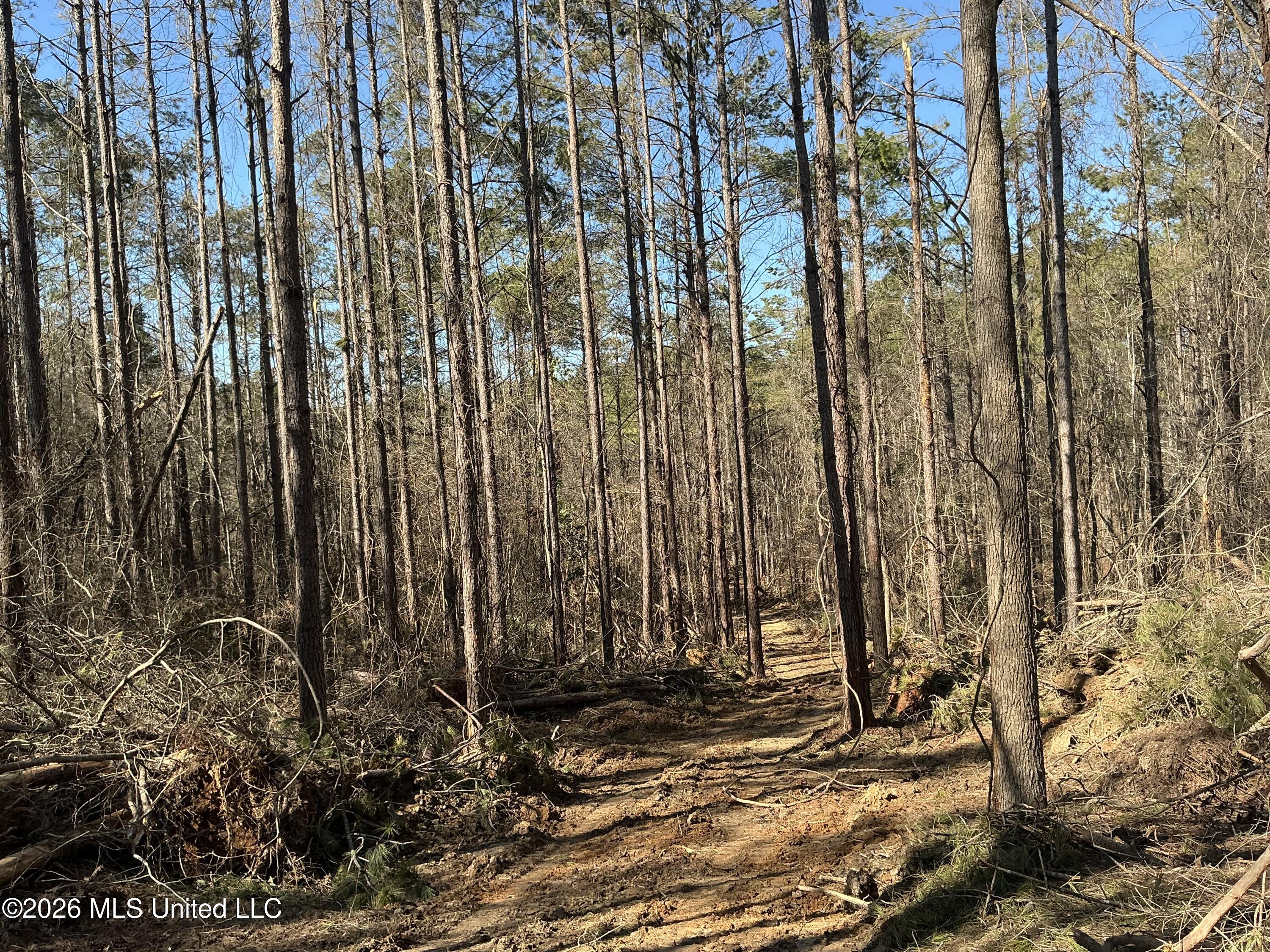 Norwood Road Carrollton, MS 38917 - Photo 21 of 28 IMG_0658