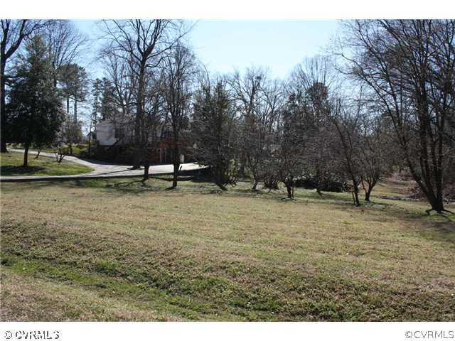 3008 Osborne Road Chester, VA 23831 - Photo 12 of 12 a backyard of a house with lots of green space