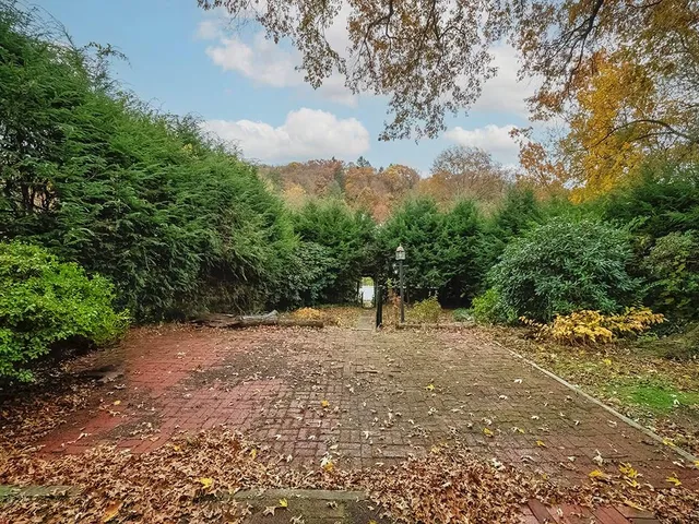 a view of a dirt road with trees in the background